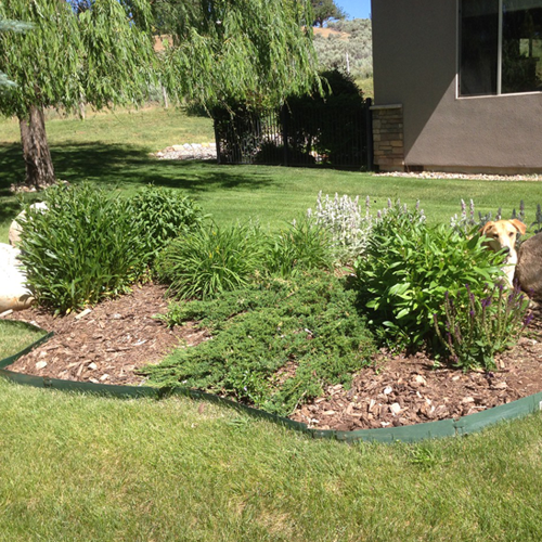 garden maintenance in Durango